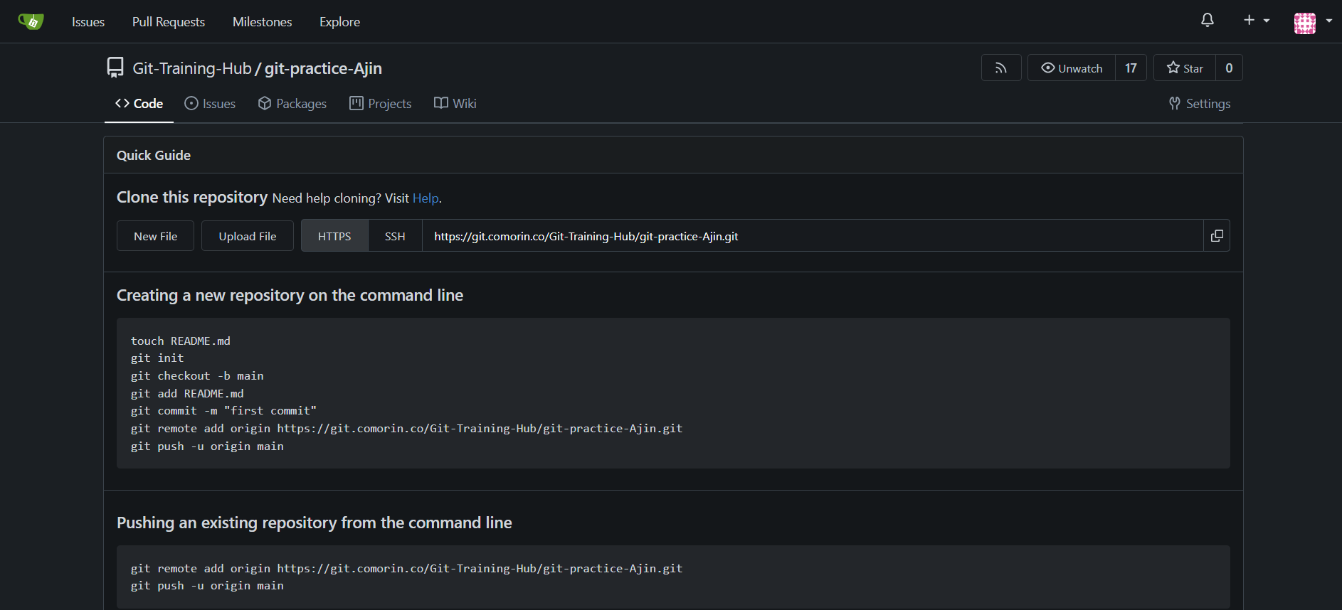 Repository Screenshot