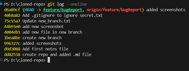 Git log oneline