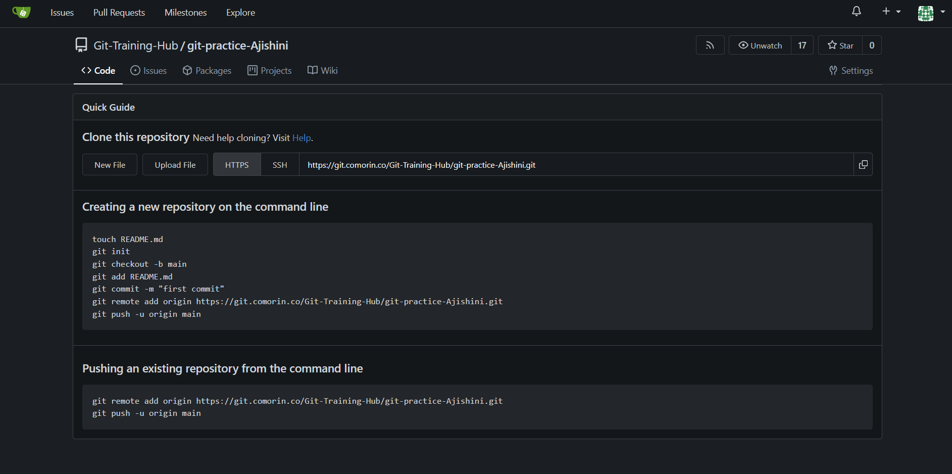 Repository_Screenshot