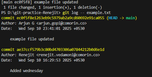 .git log -- example.txt