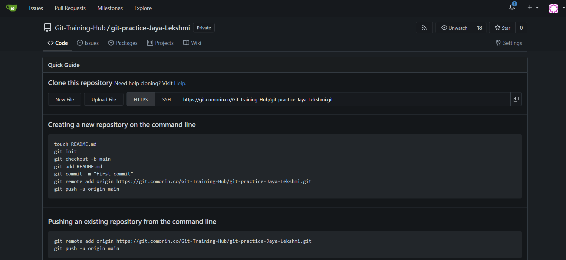 Repository_Screenshot