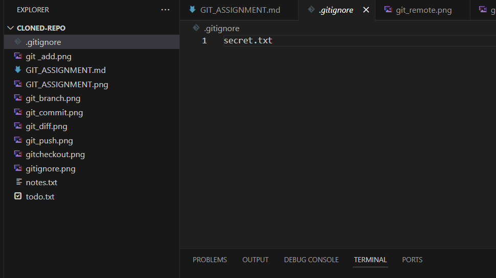 Repository Creation