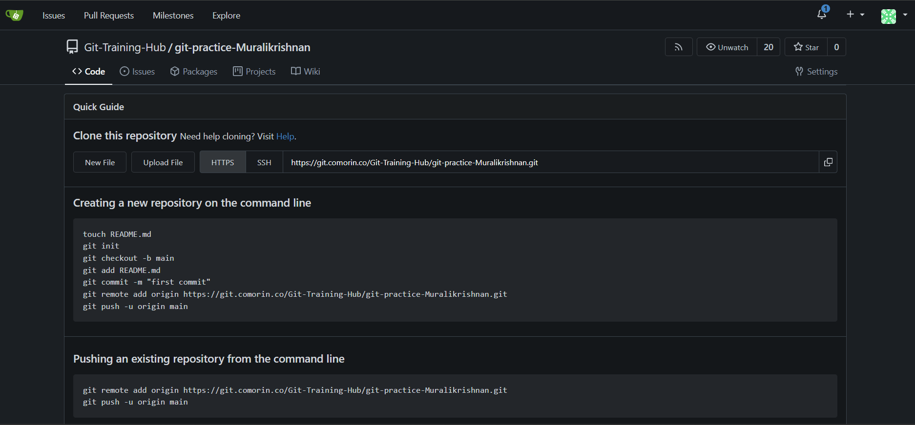Repository Creation