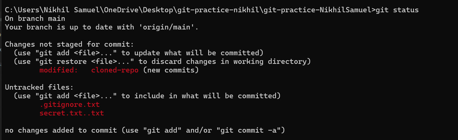 Git ignore