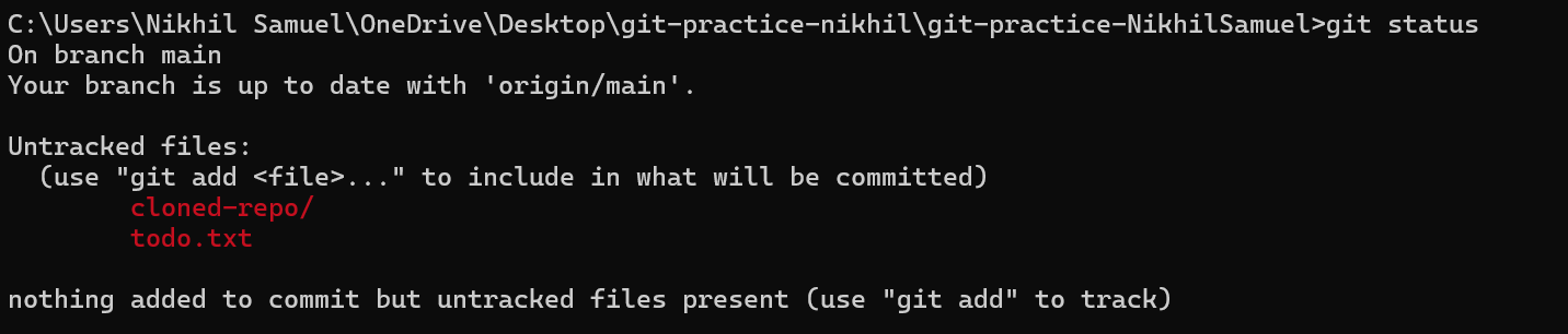 Git status
