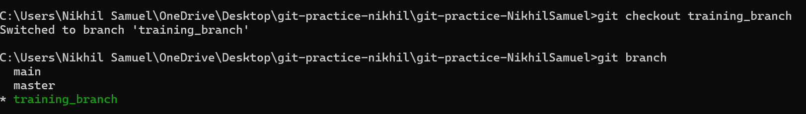 Git checkout