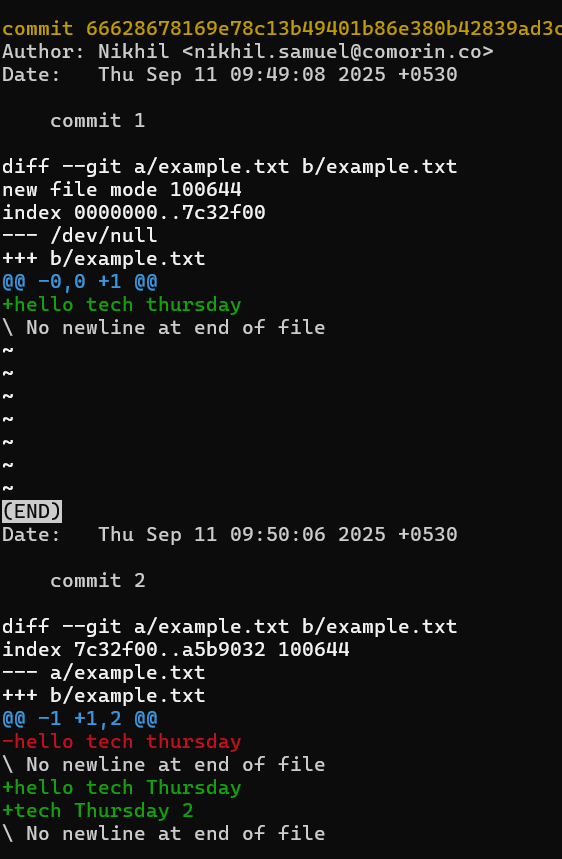 git log -p -- example.txt