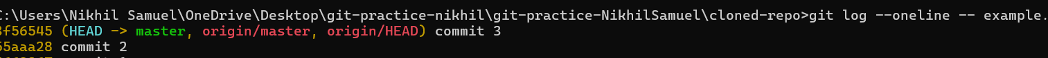 git log --oneline -- example.txt