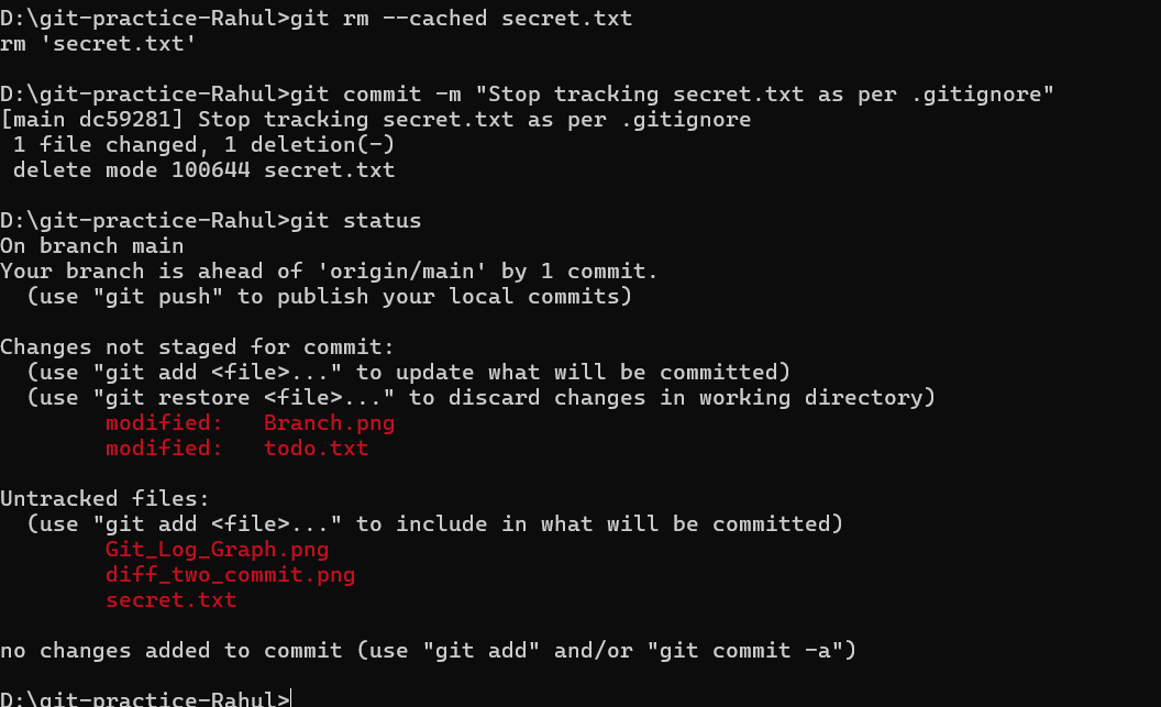 Ignoring Files with .gitignore