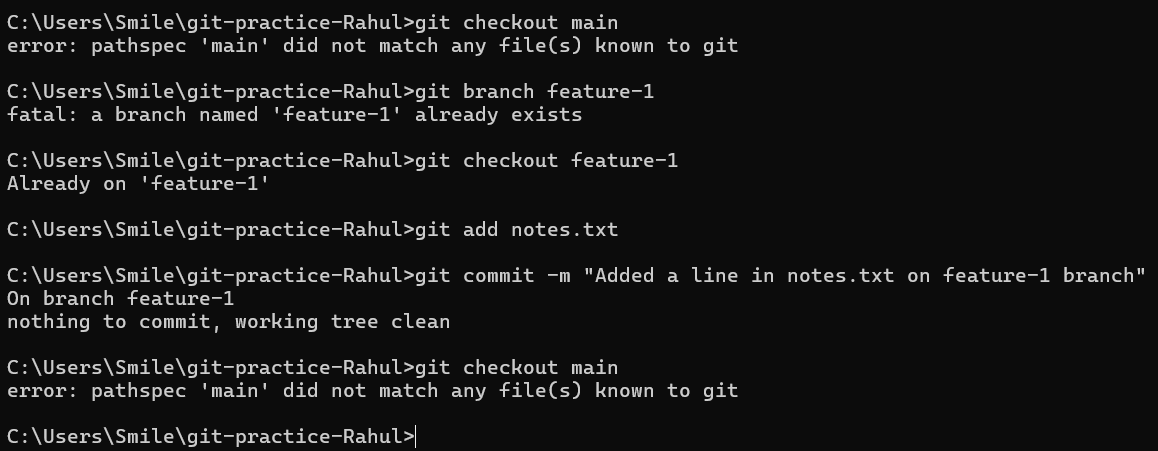 Creating & Switching Branches
