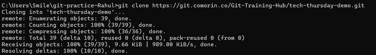 Cloning a Remote Repository