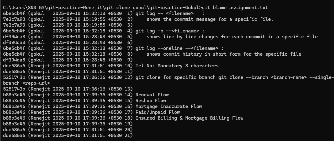 .git blame -- assignment.txt
