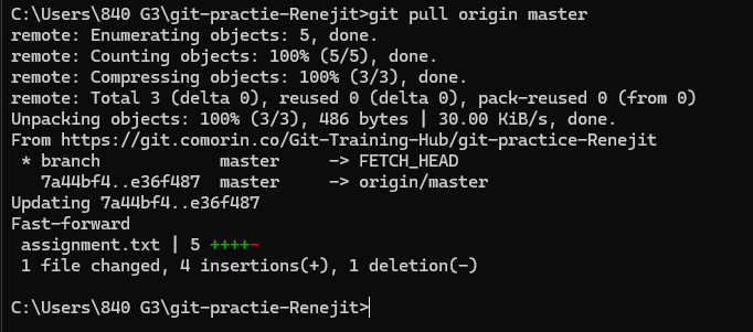Git pull