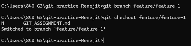 Git checkout