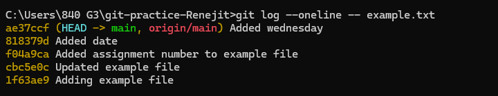 git log --oneline