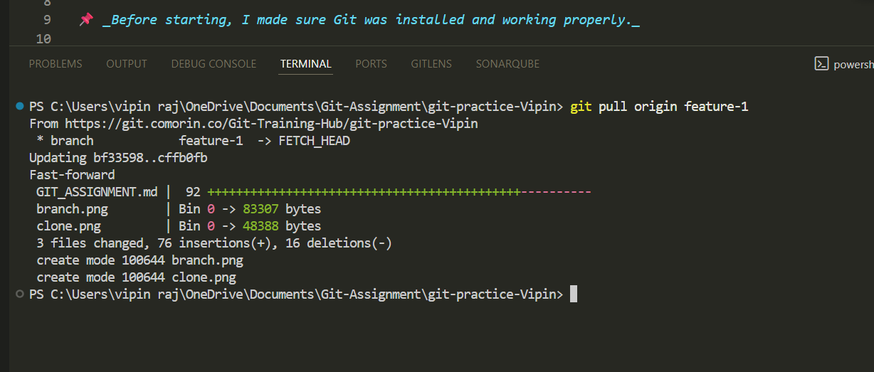 Git pull